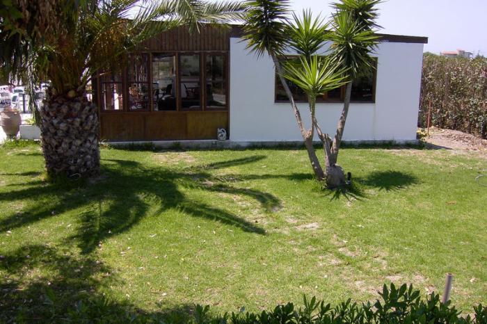 Alkmini Hotel Theológos エクステリア 写真